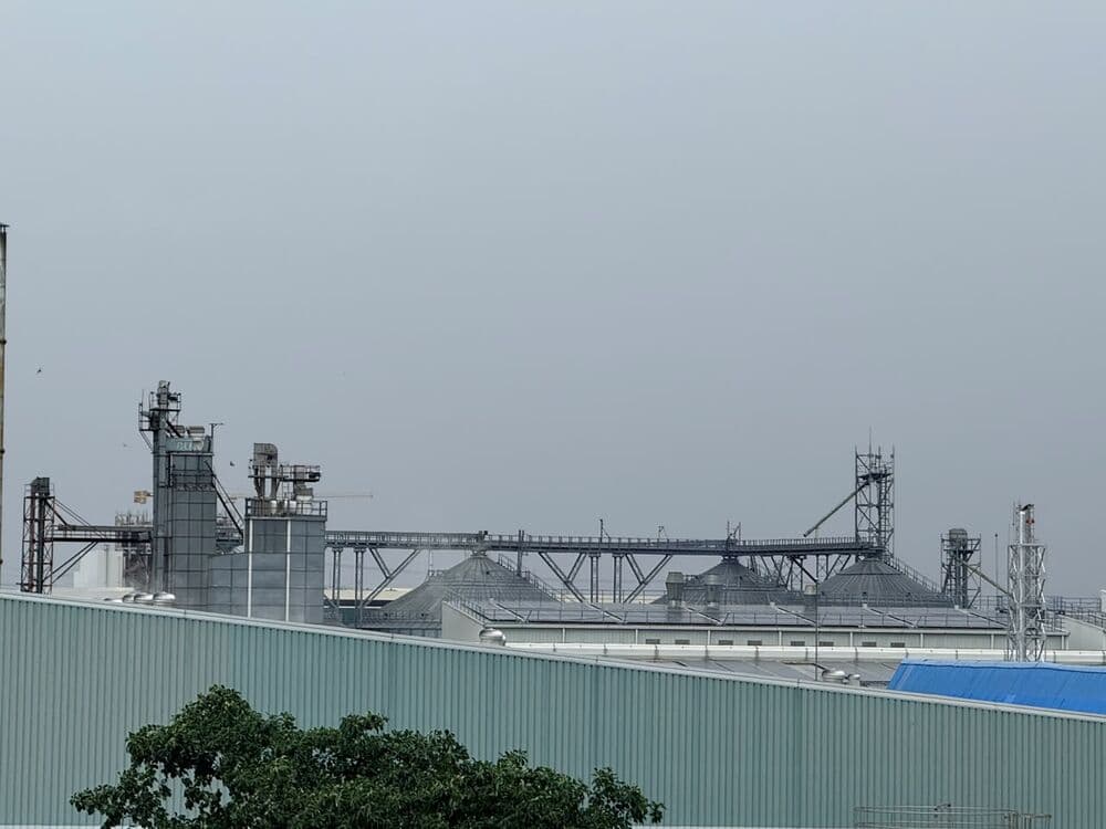 Skyline view